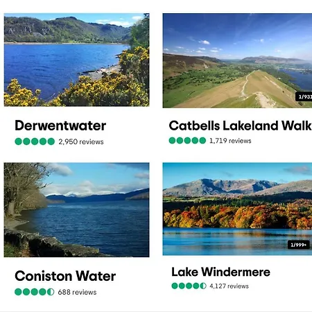 Hotel The Berry Boutique