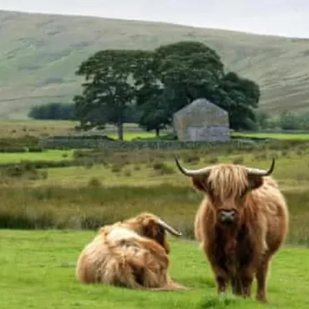 The Berry Boutique ボウネス＝オン＝ウィンダミア
