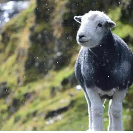 The Berry Boutique 3*