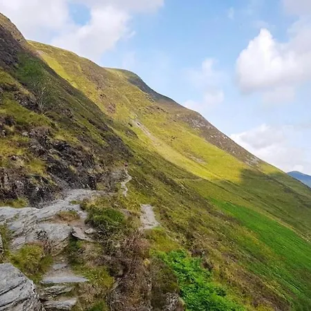 Hotel The Berry Boutique