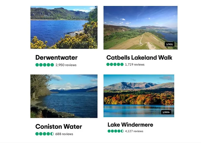 فندق The Berry Boutique