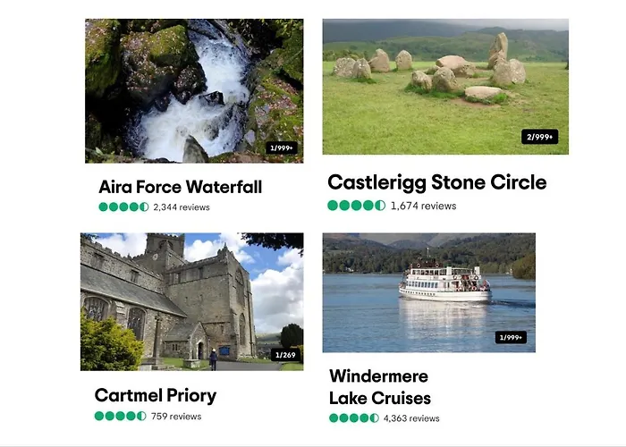 The Berry Boutique فندق