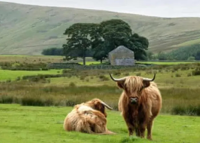 The Berry Boutique باونيس أون وينديرمير