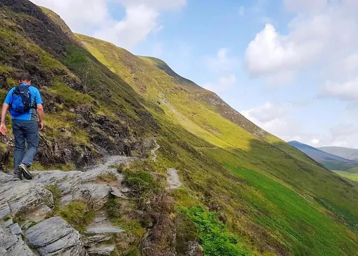 فندق The Berry Boutique